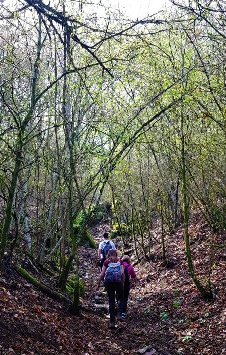 hiking photo