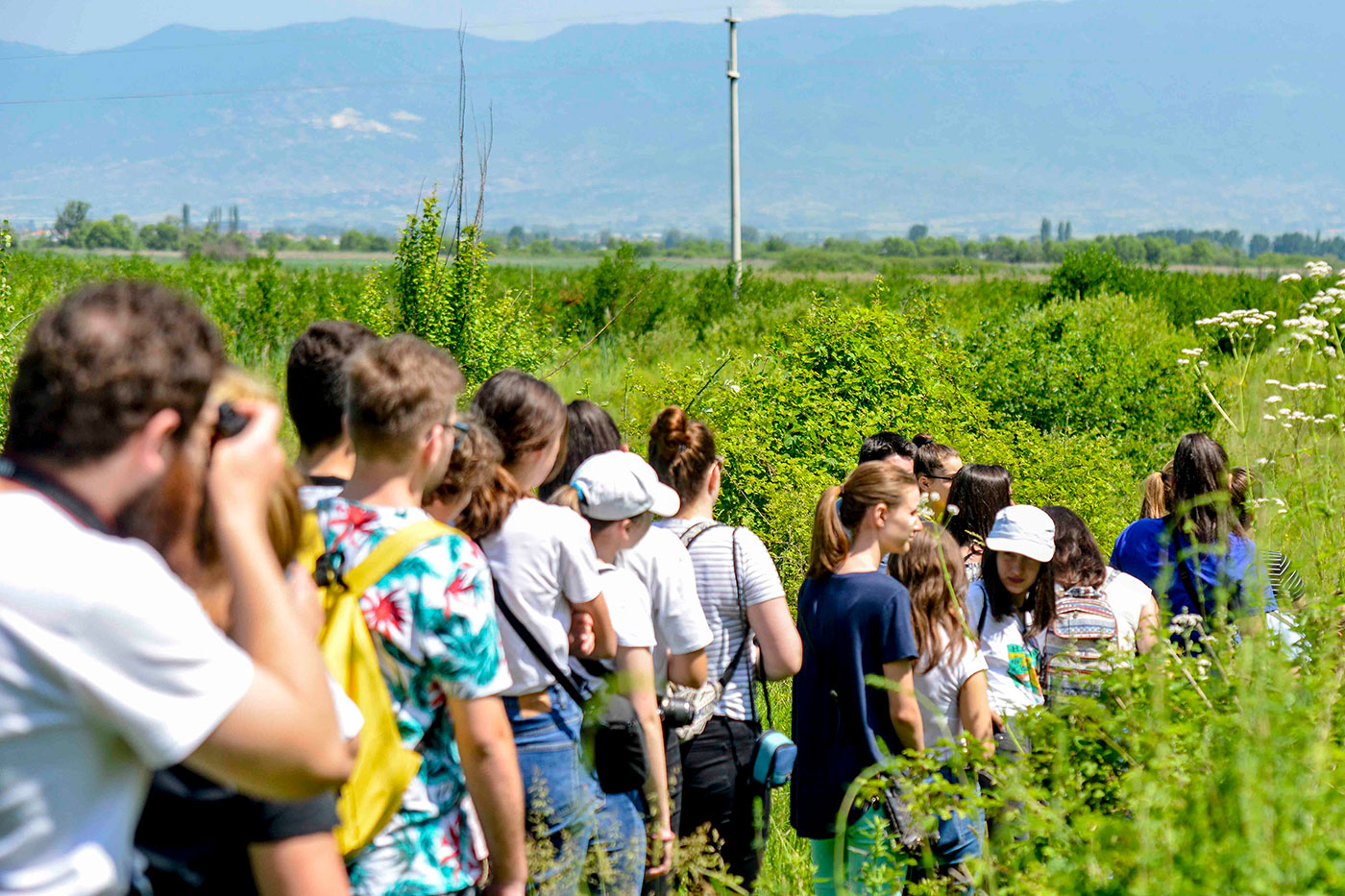 participants walking in nature